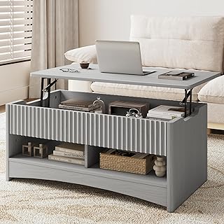 Amada Lift Top Coffee Table with Storage, Modern Center Table with Hidde...