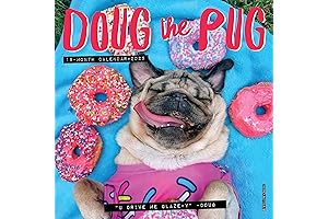 Willow Creek Press Doug the Pug 2025 Monthly Mini Wall Calendar (7" x 7")