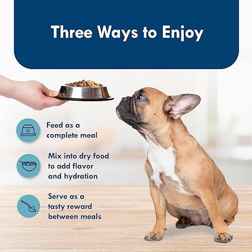 Miniatura 7 de Blue Buffalo Delicias Copa de alimentos de perro mojada de la raza pequeña para adultos naturales, sabor a la parrilla de pollo en jugo sabroso