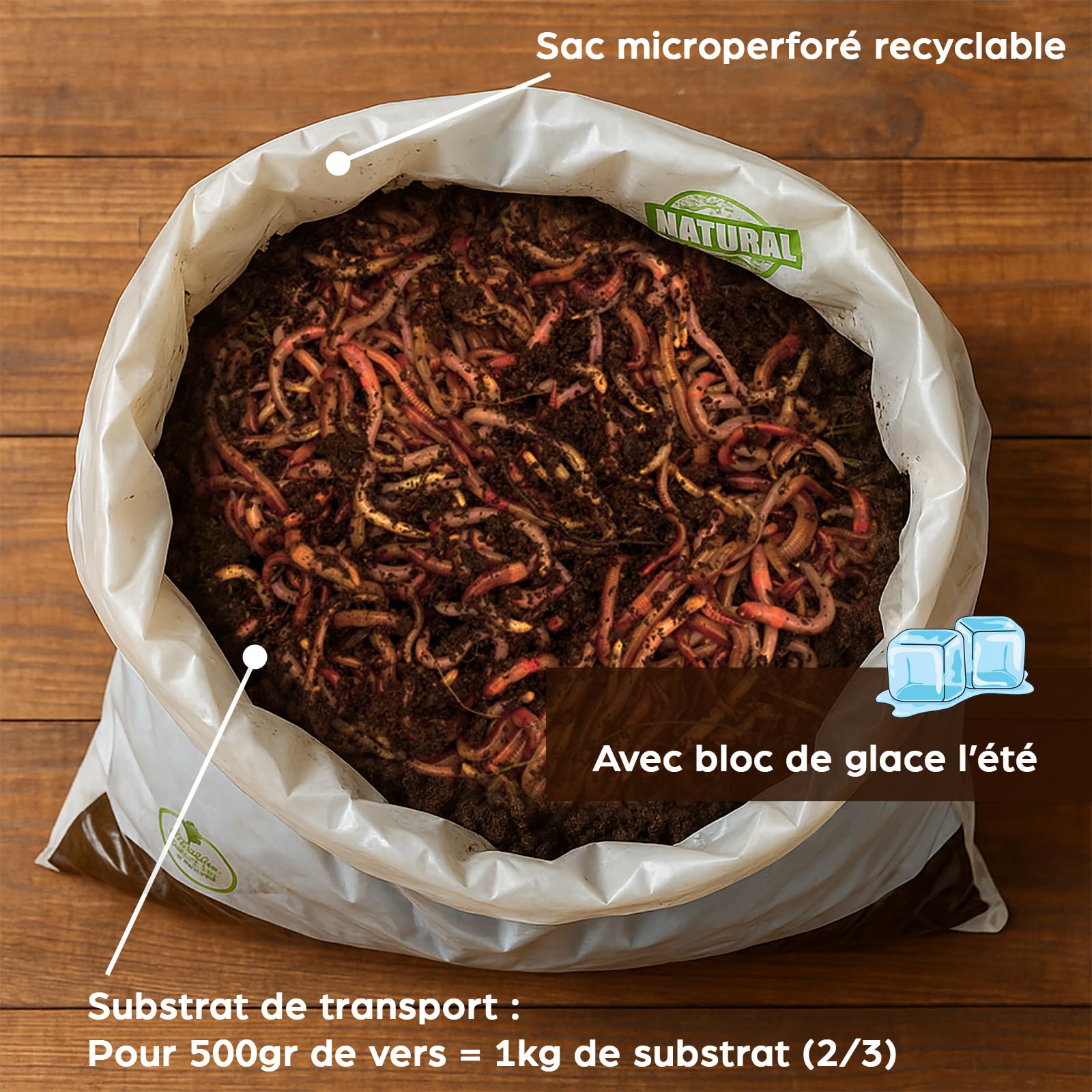 Moutta | 250 gr de Vers de Compost (≃ 500 pcs) | Vers de terre vivants Eisenia, compostez vos déchets organiques - Pour lombricomposteur/composteur/jardin