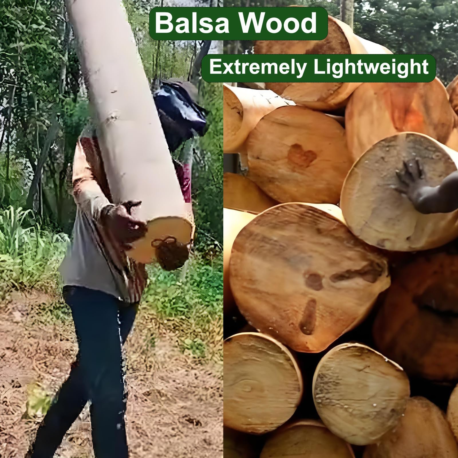 LIQWEI Lot De 50 Bâtons En Bois De Balsa - 6,35 X 30,5 Cm - Pour