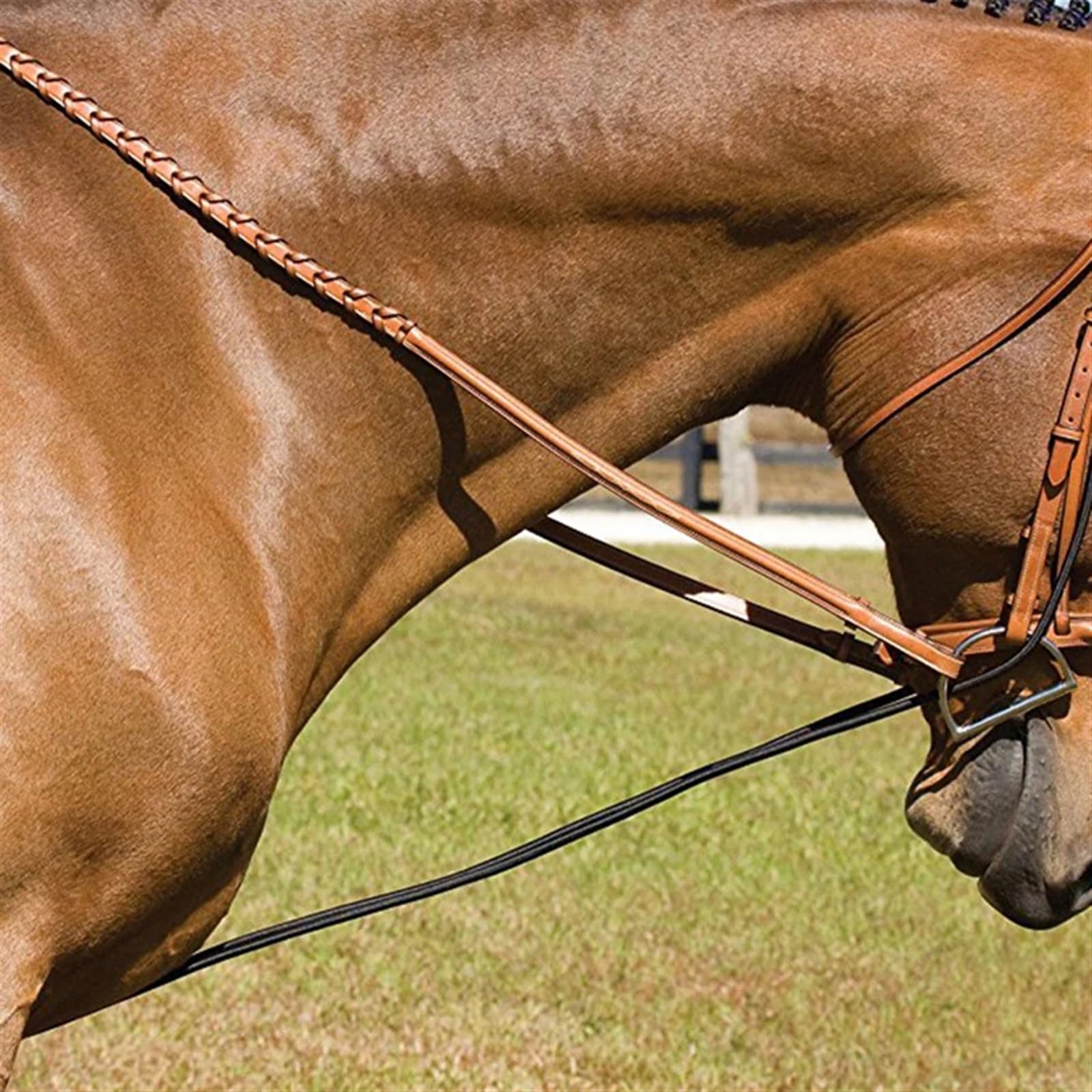 Redini durevoli Regolabile Equitazione Briglia Eastic Allenamento Cinghia Cavallo Briglia Attrezzatura Equitazione Forniture Equestri