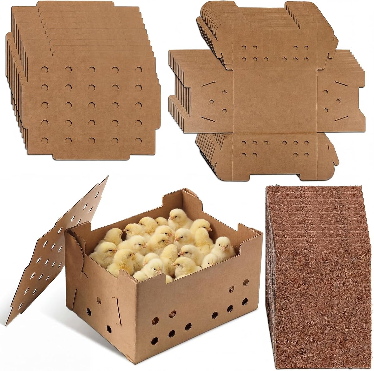 Feifeiya 10 Set Poultry Baby Chick Shipping Boxes with 10 Coconut Blankets Live Bird Shipping Boxes Cardboard Pet Carrier Hold 25 Chickens for Poultry, Pigeons, Canaries