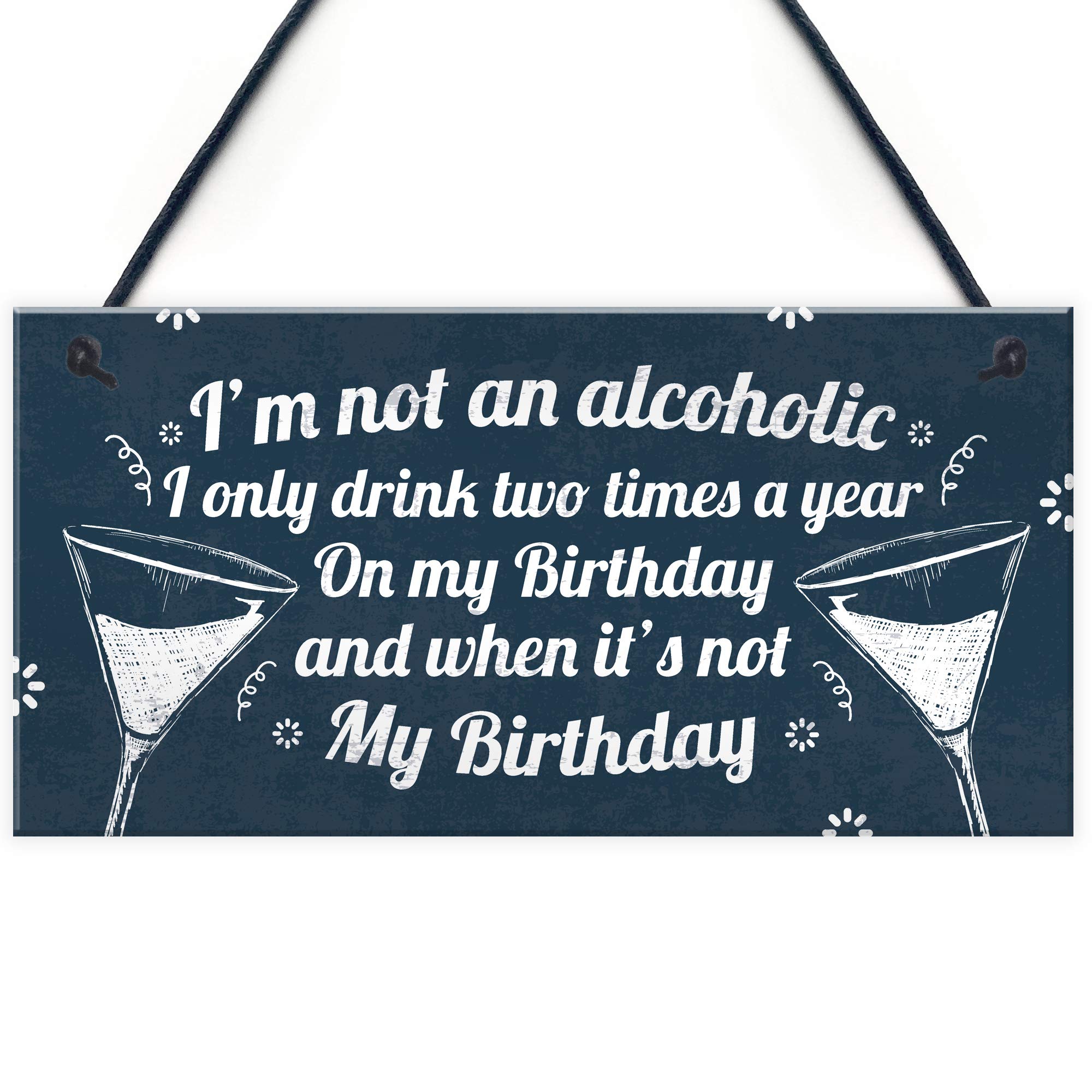 Red Ocean Funny Not An Alcoholic Friend Birthday Gift Beer Gin Hanging Wall Plaque Bar Kitchen Garden Sign