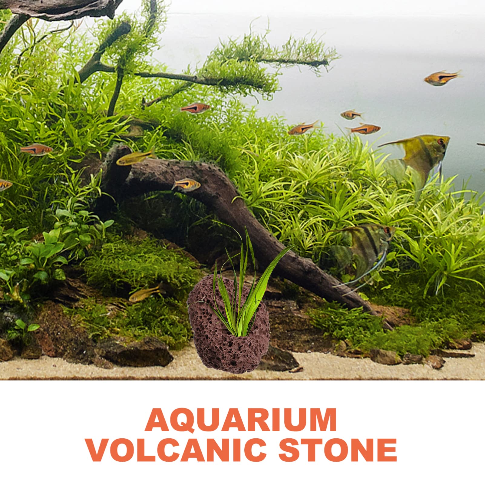 DOITOOL Lot de 6 pierres de lave volcaniques pour aquarium, petites pierres ponces volcaniques marron foncé, pierres d'aquarium pour décoration d'aquarium, 10 x 7 x 4 cm