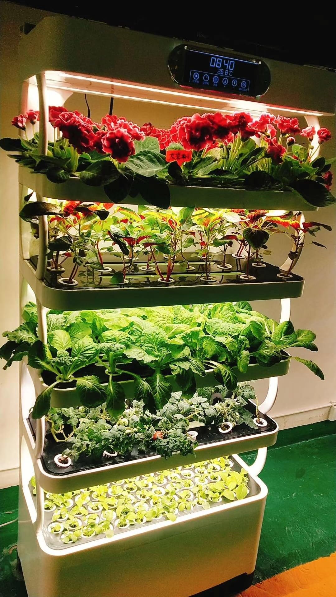 Amazon.com: IQ Growers Indoor Hydroponic System, Grow 85 Types of  Vegetables, Herbs, and Flowers, Includes 300W LED Lights, Programmable  Irrigation and Light Timer, Complete Hydroponic Solution : Patio, Lawn &  Garden
