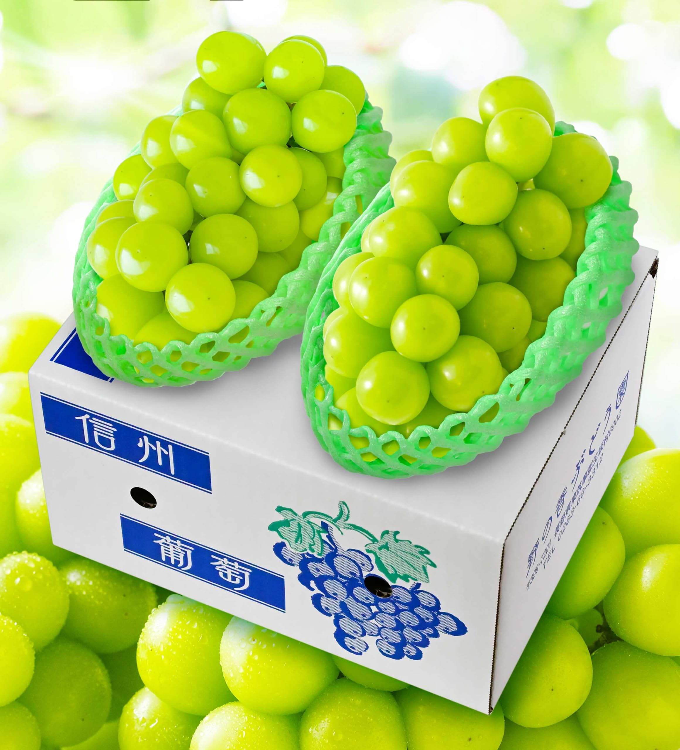 Amazon.co.jp: Nagano Prefecture Shine Muscat Grapes, Gift Pack 1