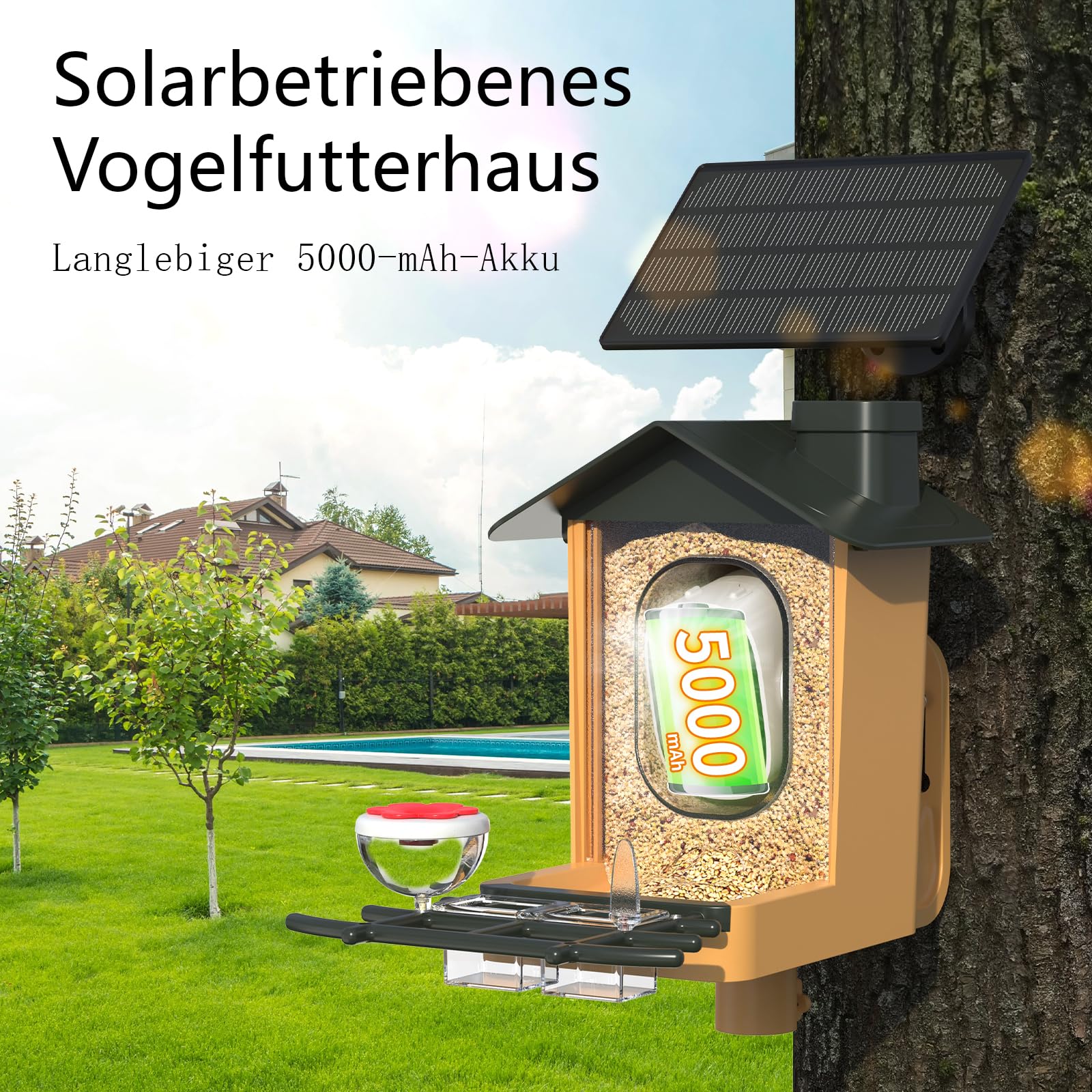 Vogelfutterhaus mit Kamera 2K HD Vollfarbe Nachtsicht KI Vogelerkennung Sofortiger Benachrichtigung Automatisch Aufnahme von Vogelvideos, Vogelhaus mit Kamera Solarbetrieben