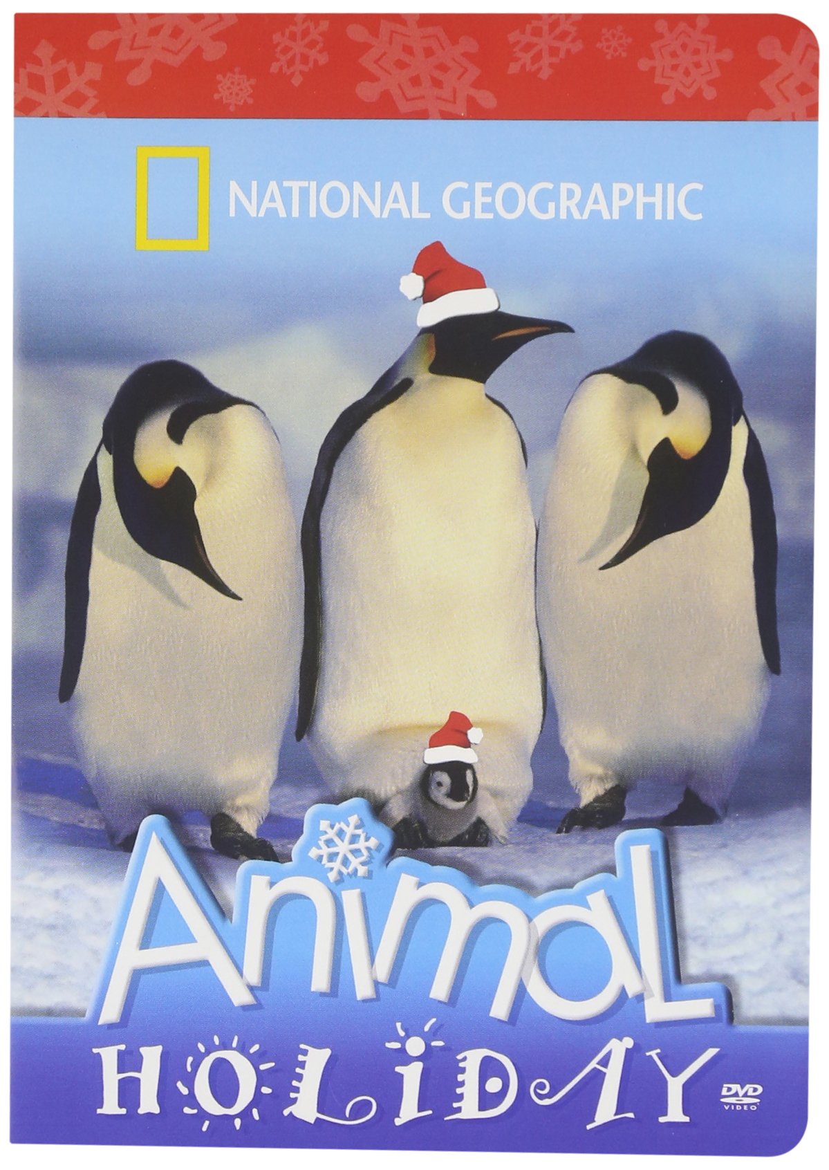 National Geographic - Animal Holiday [DVD]