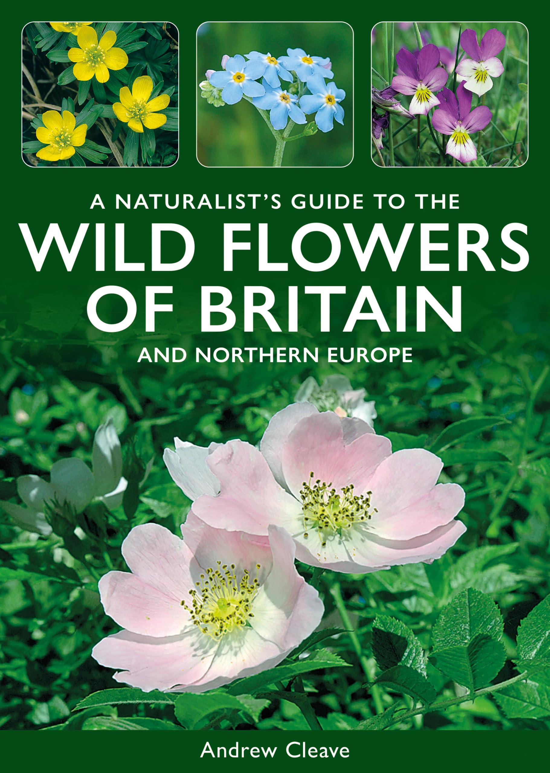 A Naturalists Guide to the Wild Flowers of Britain  by Andrew Cleave PAPERBACK