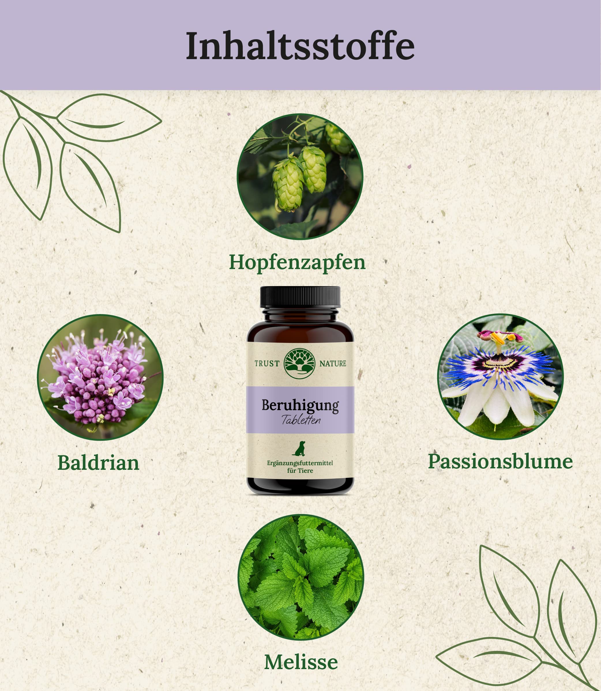 Beruhigungsmittel für Hunde | gegen Angst, Stress, Anspannung, Bellen & aggressives Verhalten | Baldrian, Hopfen, Melisse, Passionsblume | 120 Beruhigungstabletten