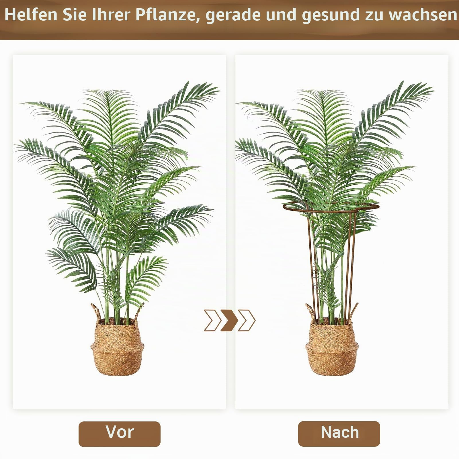 LyTaispuly 8 Stück 60 cm hohe Pflanzenstützpfähle, Starkes Metall, halbrund, Gartenstützen, Rostschleife, Ringkäfig mit 4 selbstbewässernden Spikes für Pfingstrose, Monstera (60 cm/8 Stück)