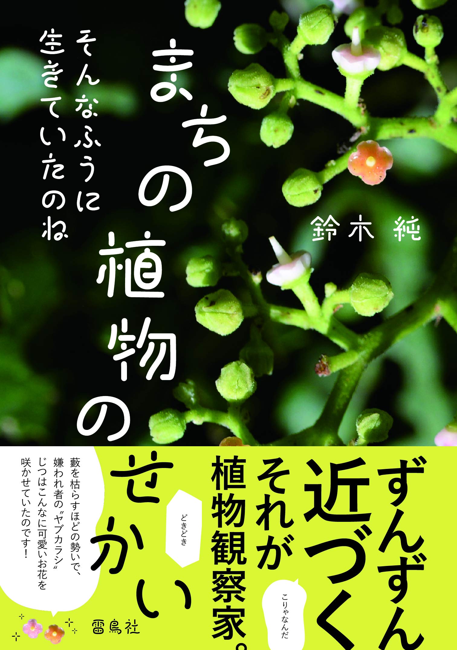 幻の植物を追って 幻の植物を追って | 荻巣 樹徳 |本