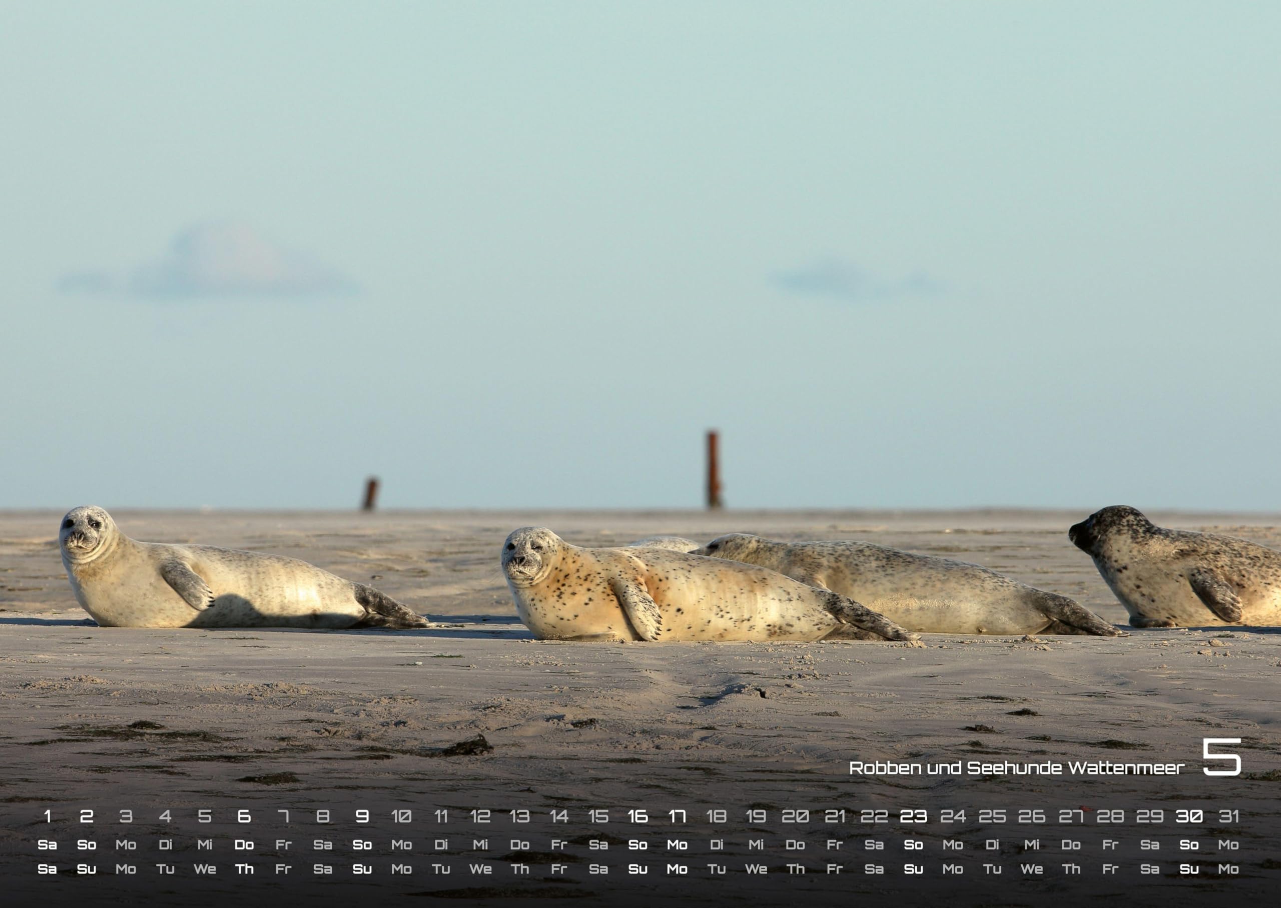 Nordsee – Küstenzauber - 2027 - Kalender DIN A2: Der Wandkalender mit den schönsten Nordsee-Motiven für das Jahr 2027 im extragroßen Format DIN A2 (ca. 60 x 42 cm)!