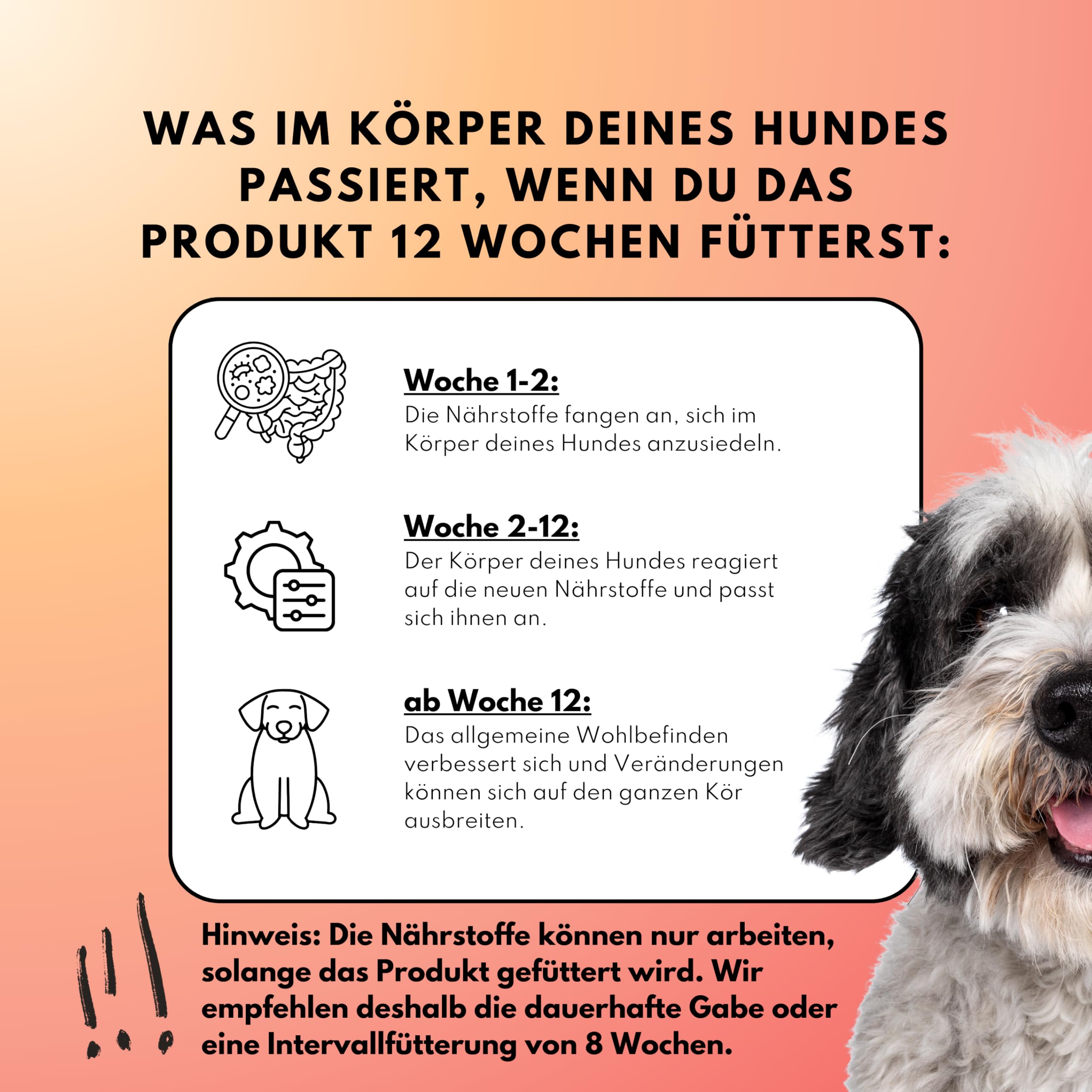 people who kaer Probiotiques Complexe Drops pour chiens, 60 comprimés – Construire la flore intestinale du chien, bactéries intestinales pour chiens, assainissement intestinal des chiens, compléments