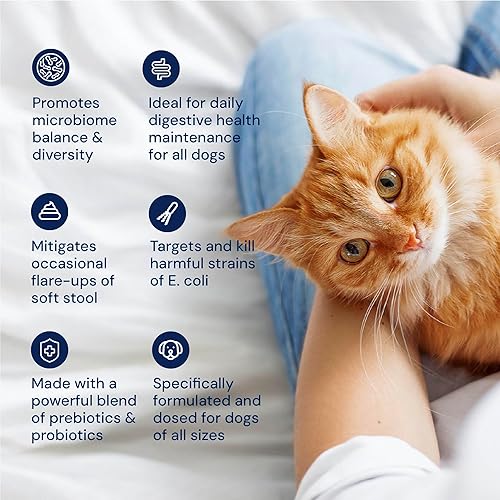 Miniatura 4 de AnimalBiome Probióticos para gatos - Prebióticos y probióticos GMP - Reduce los brotes de diarrea para gatos - KittyBiome