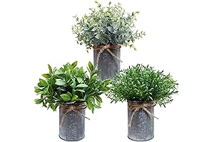 Winlyn Mini Faux Greenery, Rustic Farmhouse Home Decor
