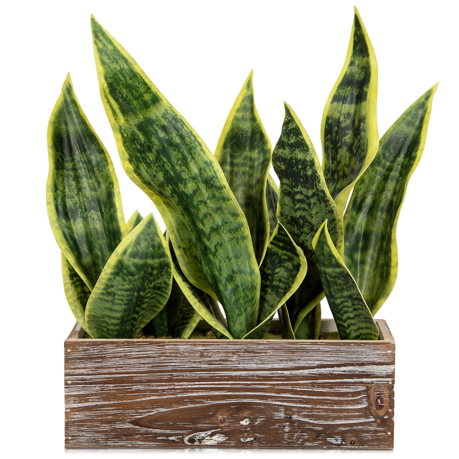 Amazon.com: Fake Snake Plant in Rustic Wooden Planter 15.7 Inch