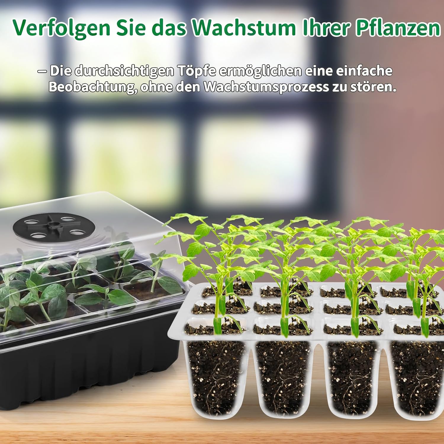 Generisch 6 Stück Mini Zimmergewächshaus Anzuchtkasten mit Pflanzenlampe | Mini Treibhaus Anzuchtkasten mit LED Dimmbare Anzuchtlampe Zur Keimung Von Sämlingen, Verdicken Tabletts Anzuchtschale
