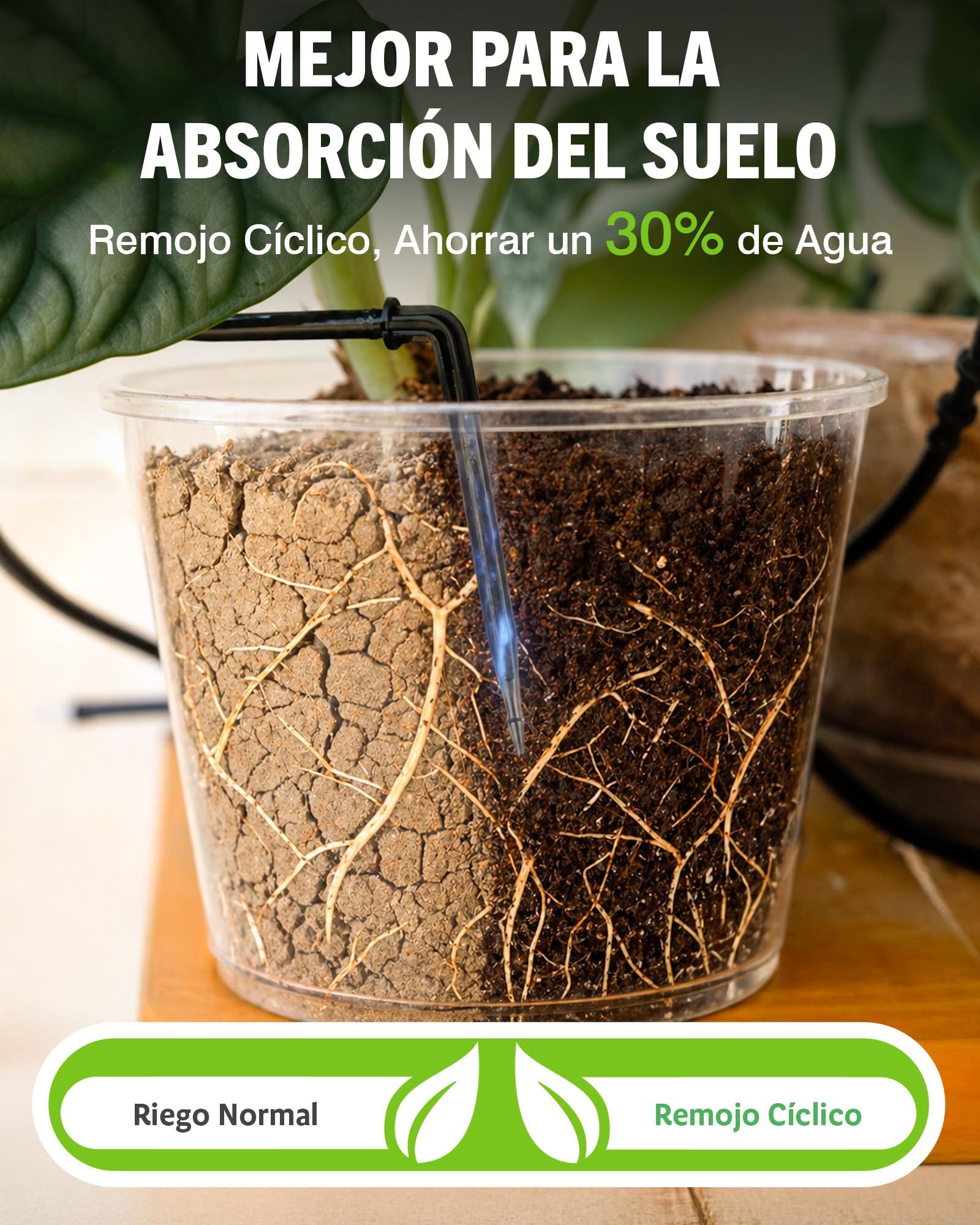 RAINPOINT Sistema de Riego Automático WIFI, Control Remoto APP, Riego por Goteo para Plantas de Interior con Ciclo y Remojo, Sistema de Riego Automático con Batería Recargable, Hasta 15 Plantas