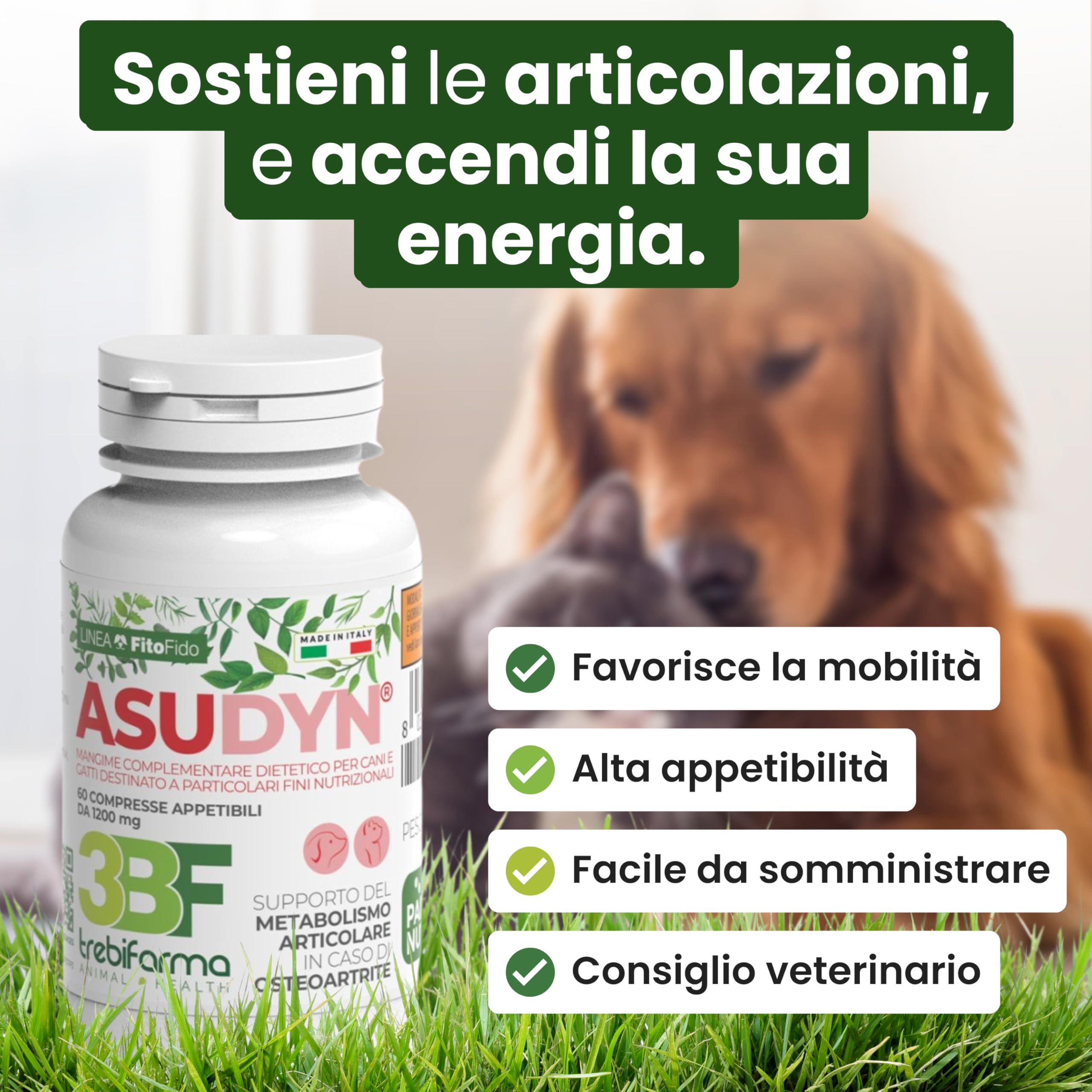 Trebifarma Asudyn per Cani - Supporto Naturale per Articolazioni e Mobilità - Con Boswellia, Curcuma, Artiglio del Diavolo, Omega 3 e Vitamine - 60 Compresse Appetibili
