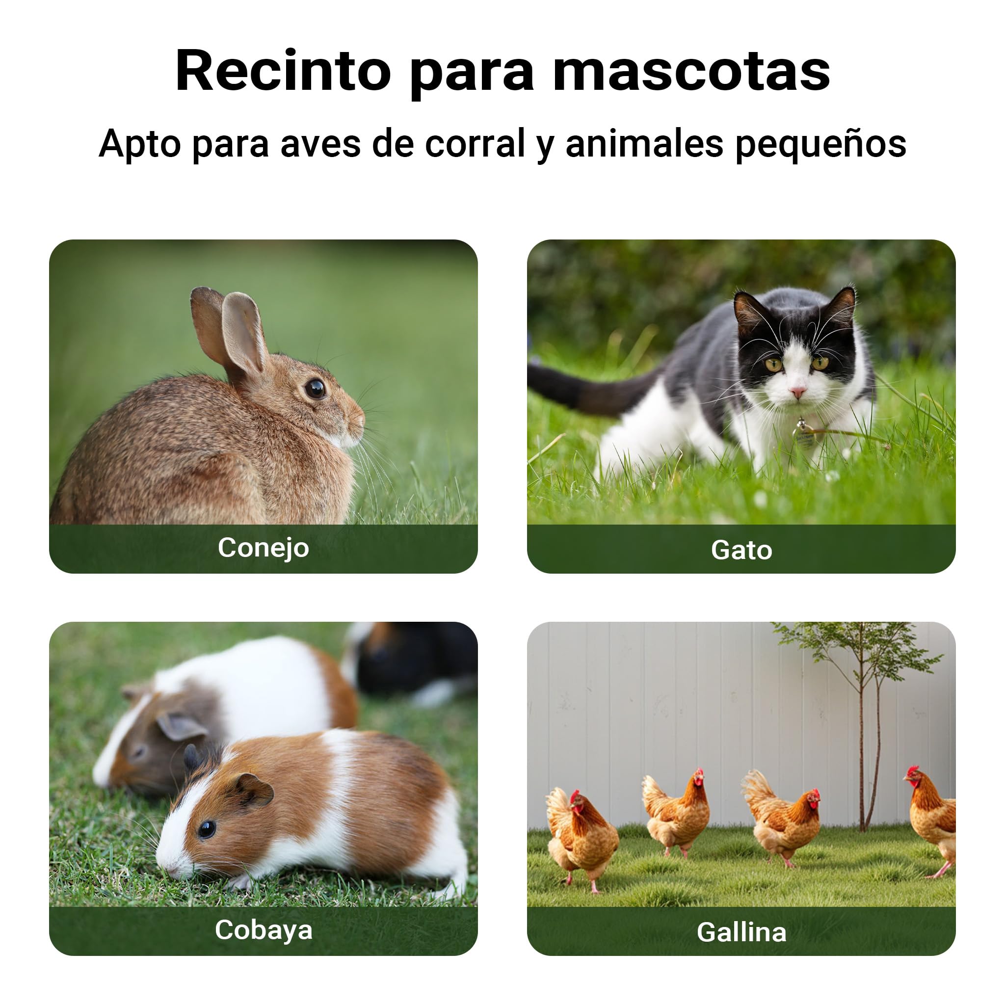 Conejera Casa Caseta Animales pequeños Madera Exterior Mascota Jaula Corredor