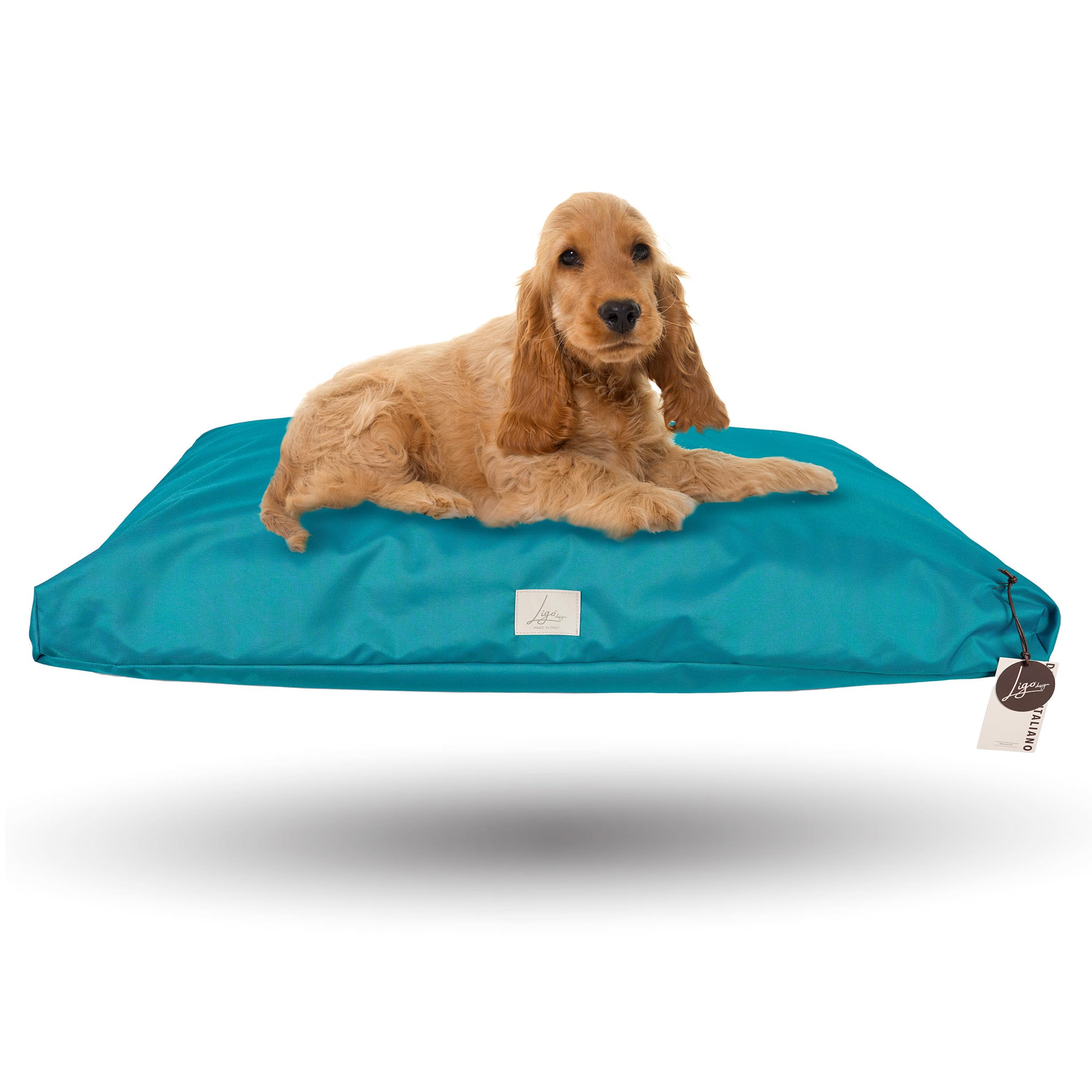 Ligo Tommy - Materasso per Cani Idrorepellente e AntiGraffio, Realizzato in Italia. Cuscino Cuccia per Cane AntiGraffio antimacchia Perfetto per l'uso Interno ed Esterno. S,VERDE PETROLIO