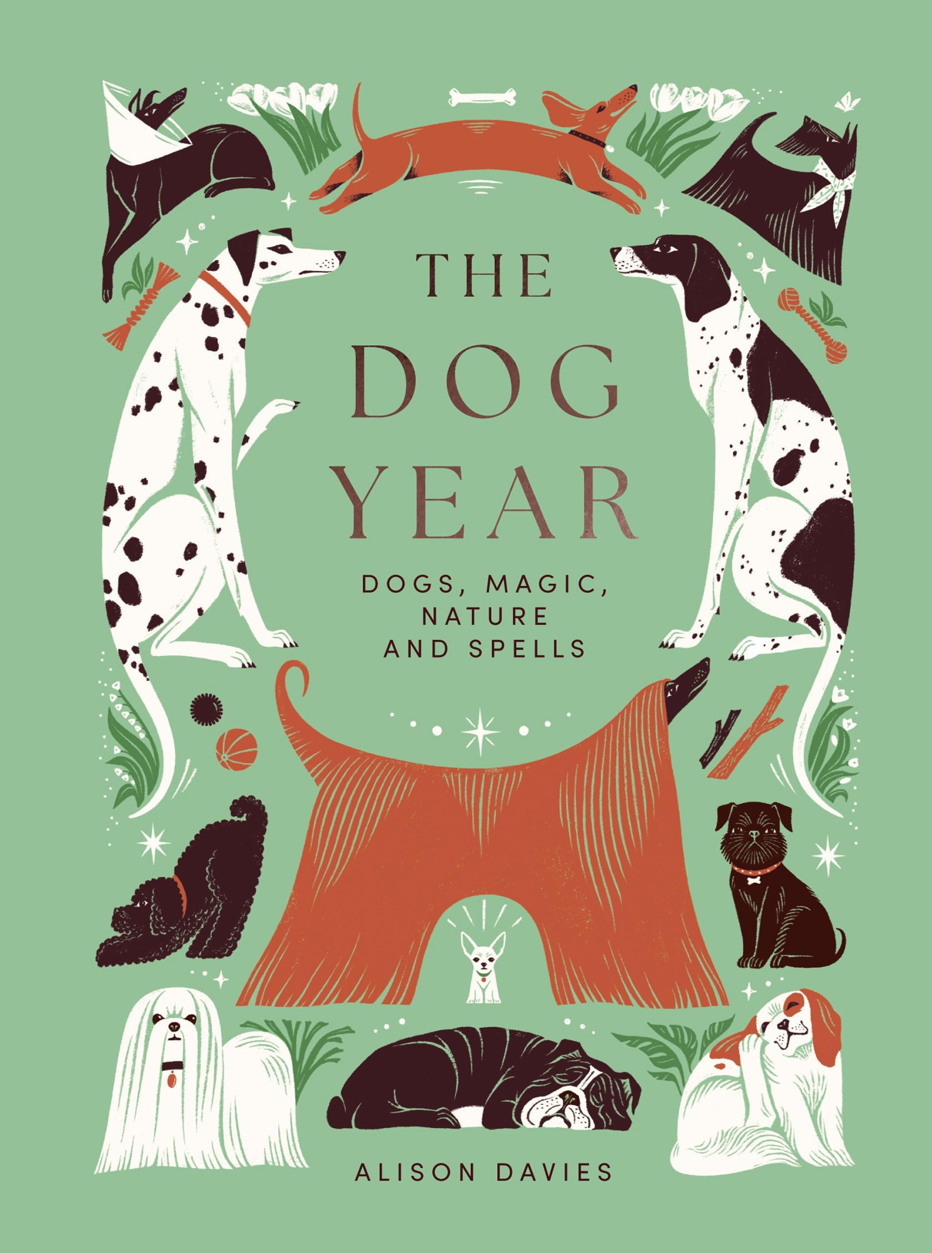 Alison Davies The Dog Year Hardback Book