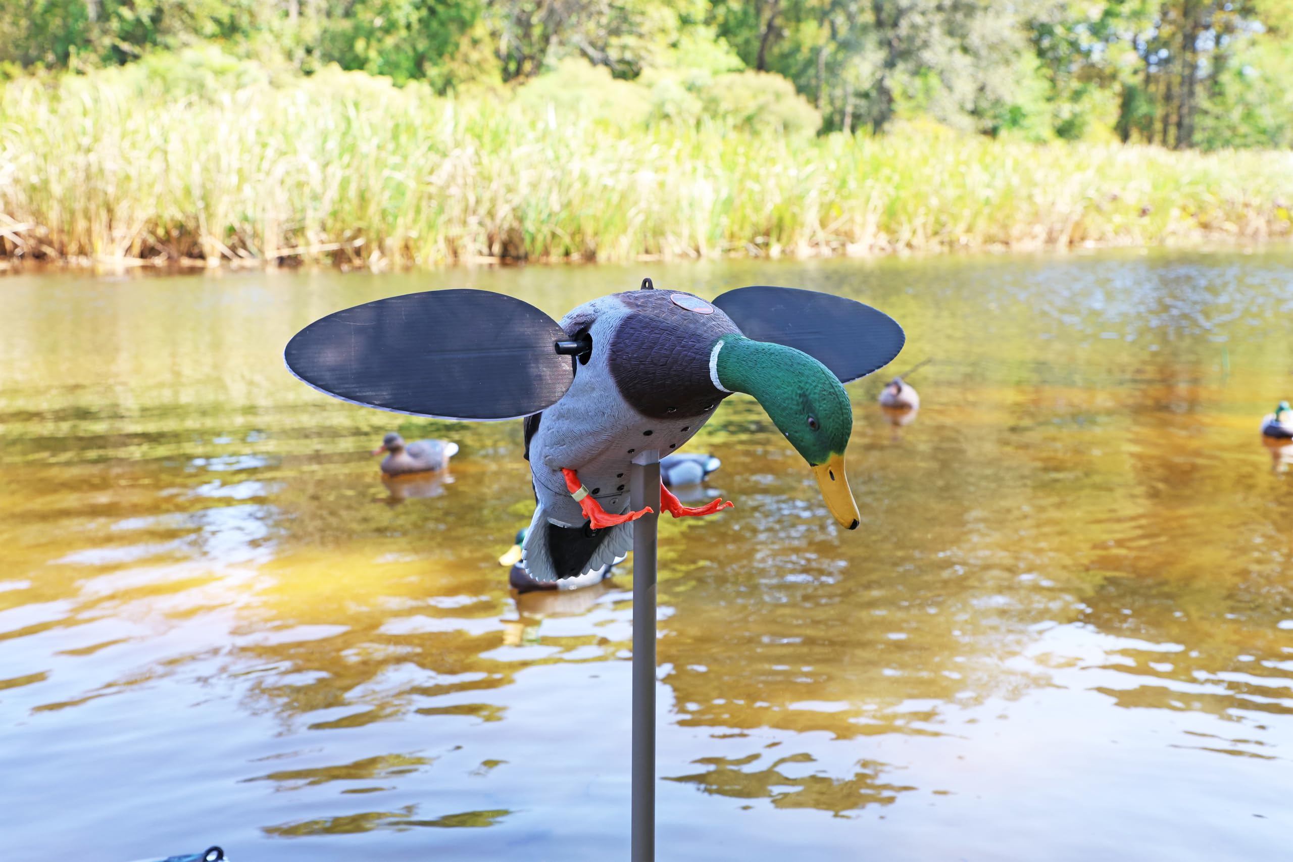 MOJO Outdoors Hw2025 Señuelo Plateado de Mallard, Unisex, Plata