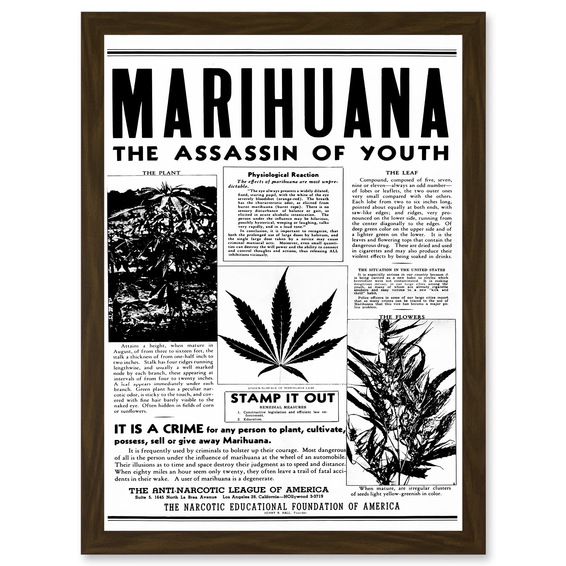 Artery8 Warning Marijuana Weed Cannabis Panic USA Drug Advertising A4 Artwork Framed Wall Art Print