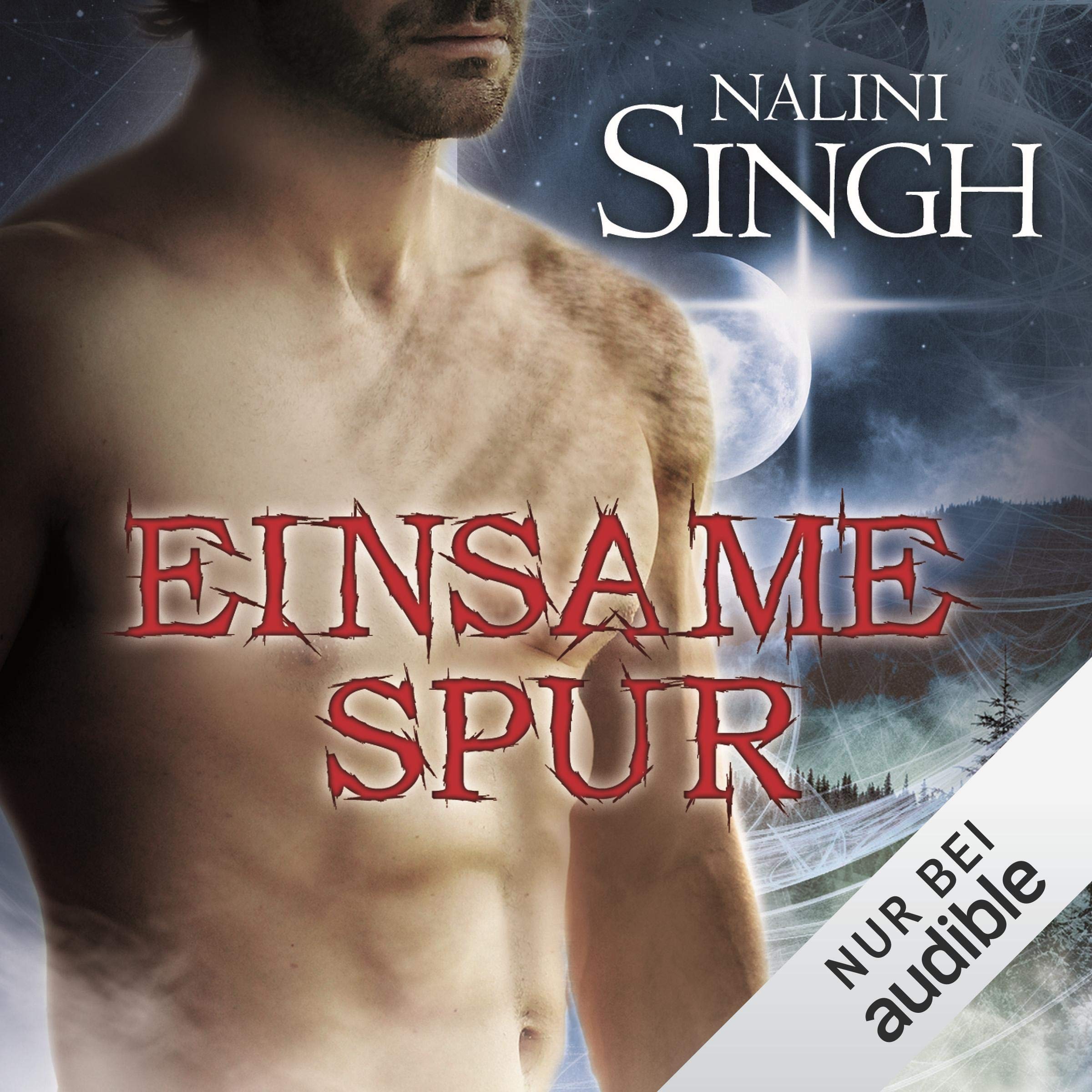 Cover art for Einsame Spur