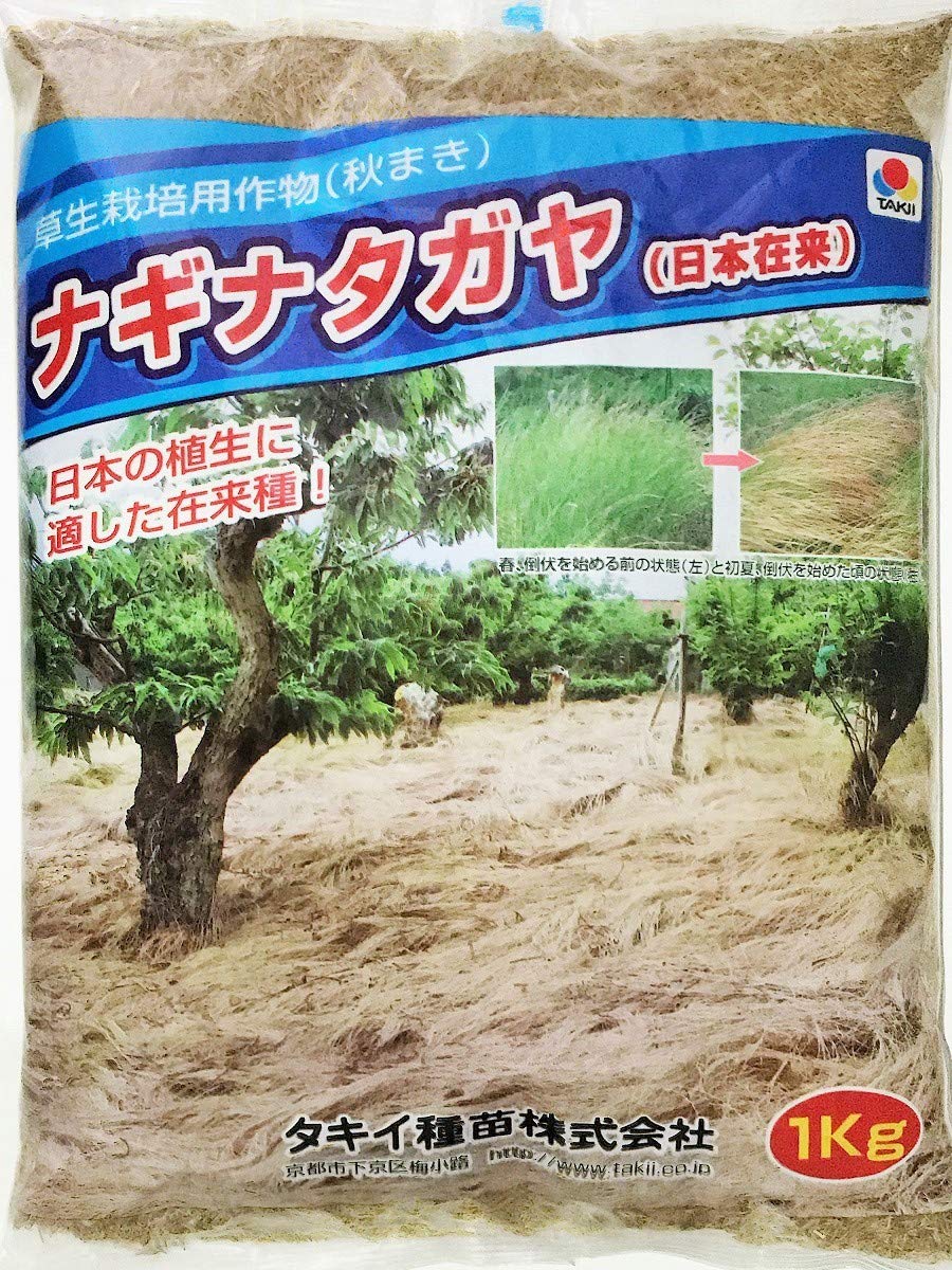 Amazon.co.jp: ナギナタガヤ種子（日本在来）1kg タキイ種苗 (1