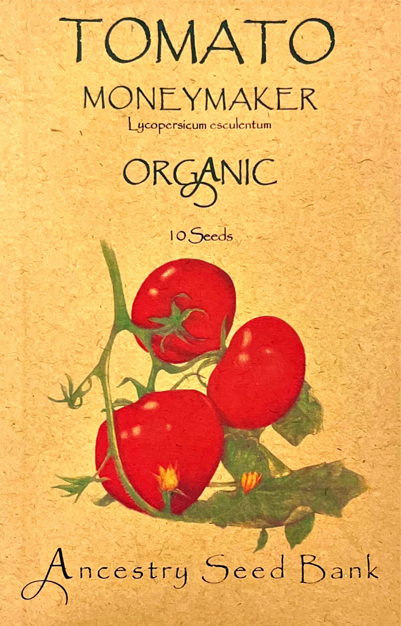 Organic Tomato ❁ MONEYMAKER ❁ 10 Seeds Heirloom - Non GMO