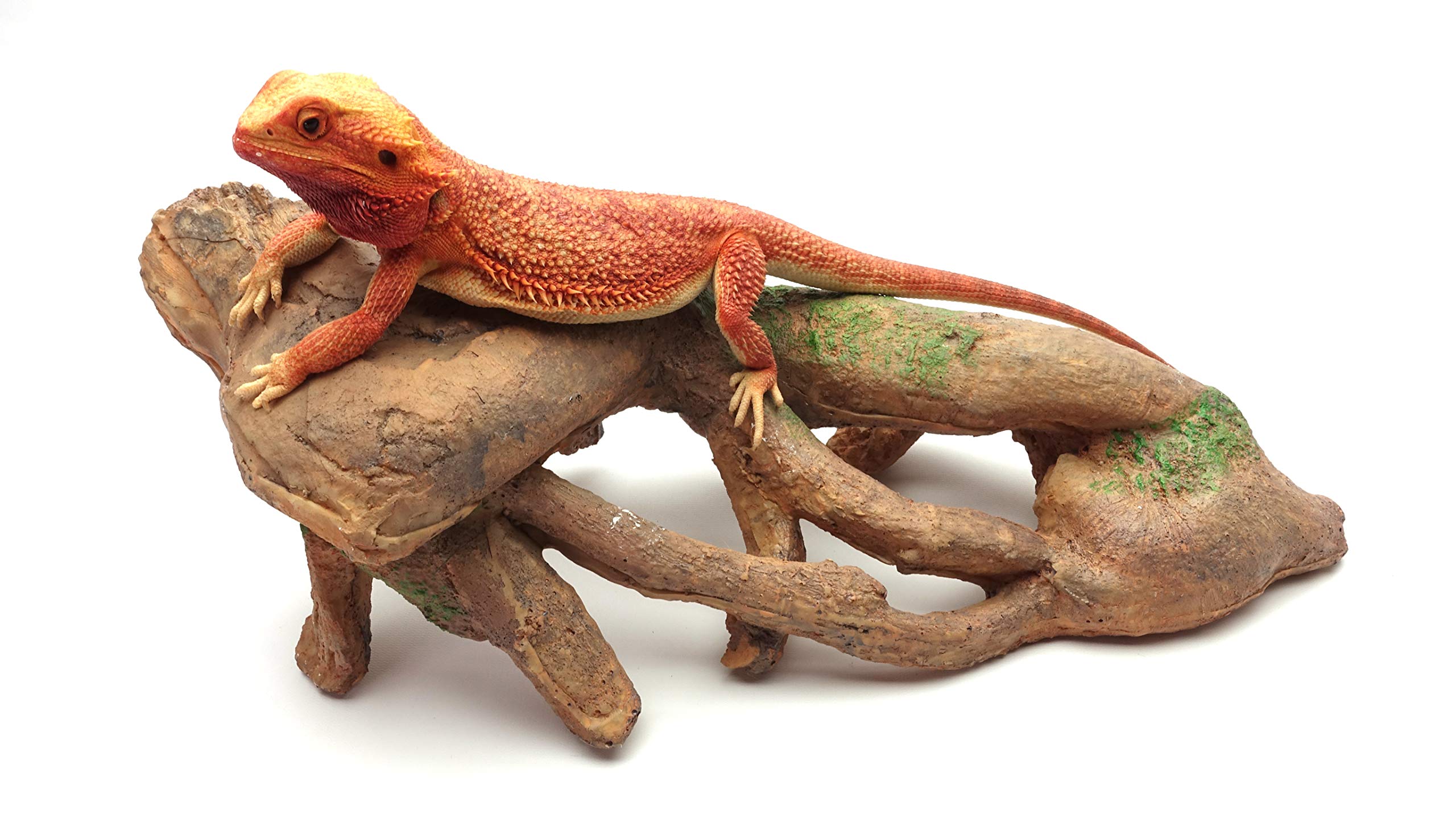 Nudosa raíz Grandes, Brown, Reptil Hábitat Accesorios