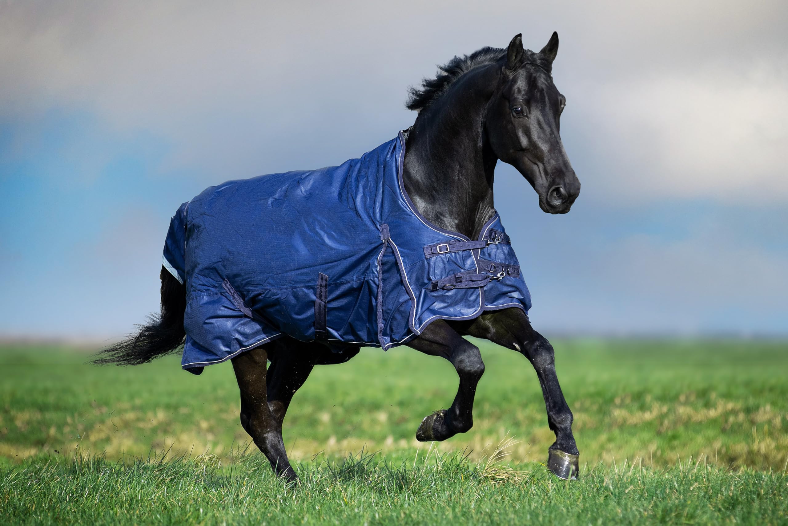 Imperial Riding Outdoordecke IRH Super-Dry 300 g, wasserdicht & atmungsaktiv, 600D Polyester 300 g Füllung, warme Winterdecke für Pferde, robust & pflegeleicht, Navy, 125