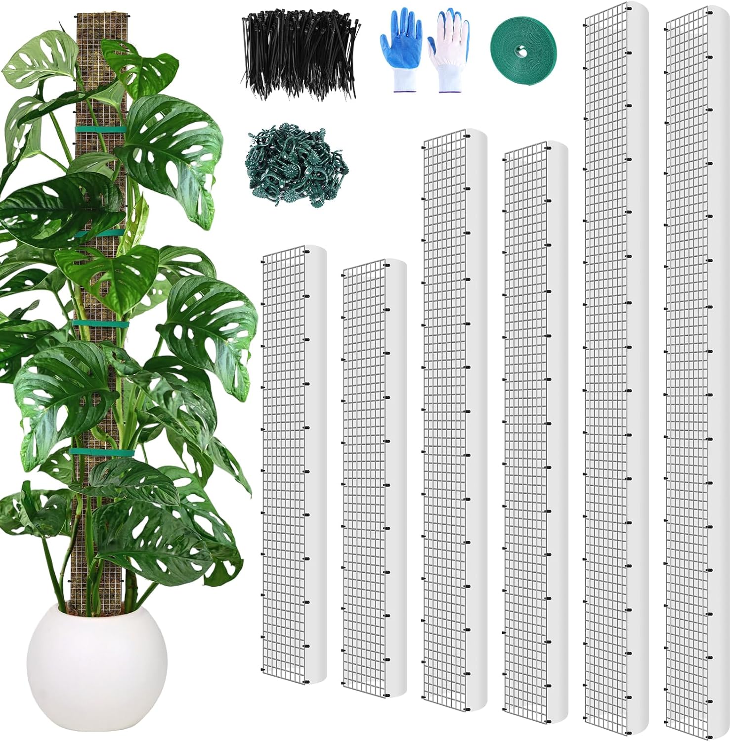 24"+40"+60" Metal Moss Pole - 6 Pack D Shape Sphagnum Moss Pole, Moss Poles for Climbing Plants, Monstera, Climbing Plants Indoor