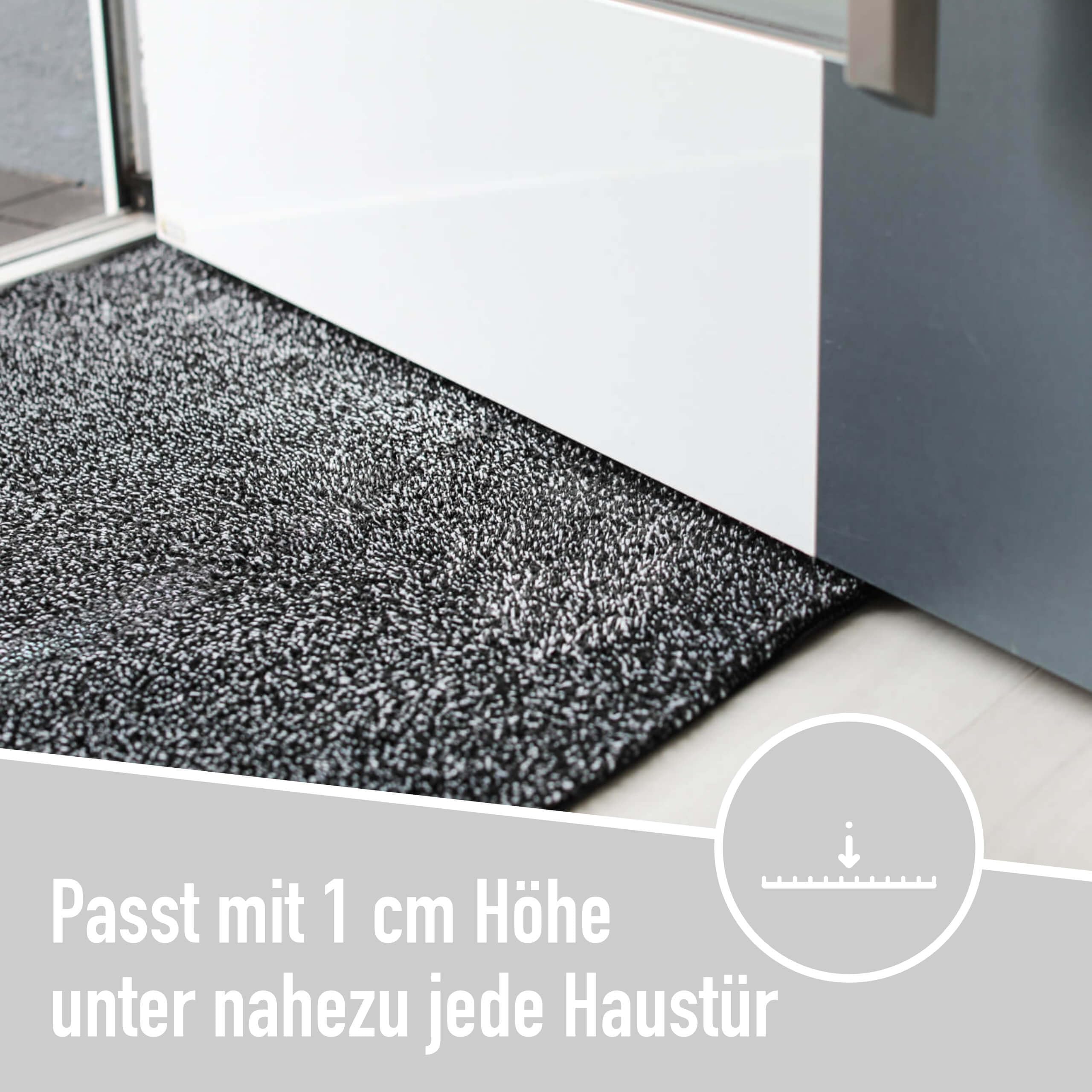 Profolio Zerbino per interni, lavabile e antiscivolo, per interni, tappetino piatto da 1 cm, zerbino per ingresso, porta di casa e corridoio, 220 x 110 cm, dimensioni a scelta