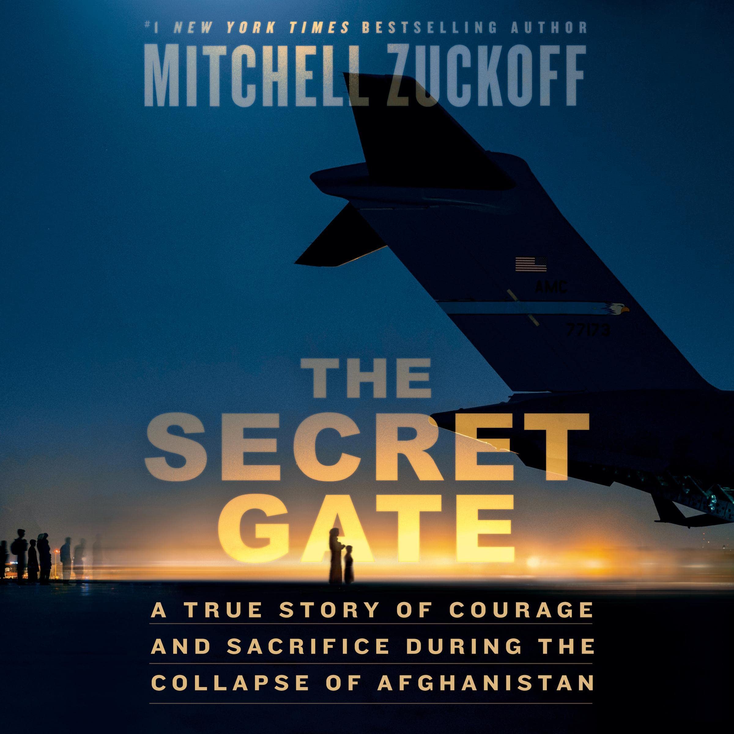 Cover art for The Secret Gate