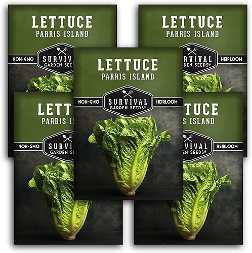 5 paquetes de semillas de lechuga Parris Island Cos para plantar, paquete con instrucciones para cultivar lechuga estilo romana en el huerto de tu