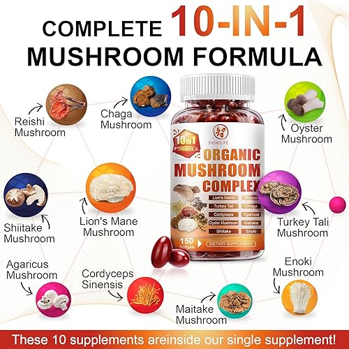 Miniatura 3 de Suplemento de hongo de melena de león 10 en 1 con cola de pavo, reishi, cordyceps, chaga y más, suplementos cerebrales para memoria y concentración,