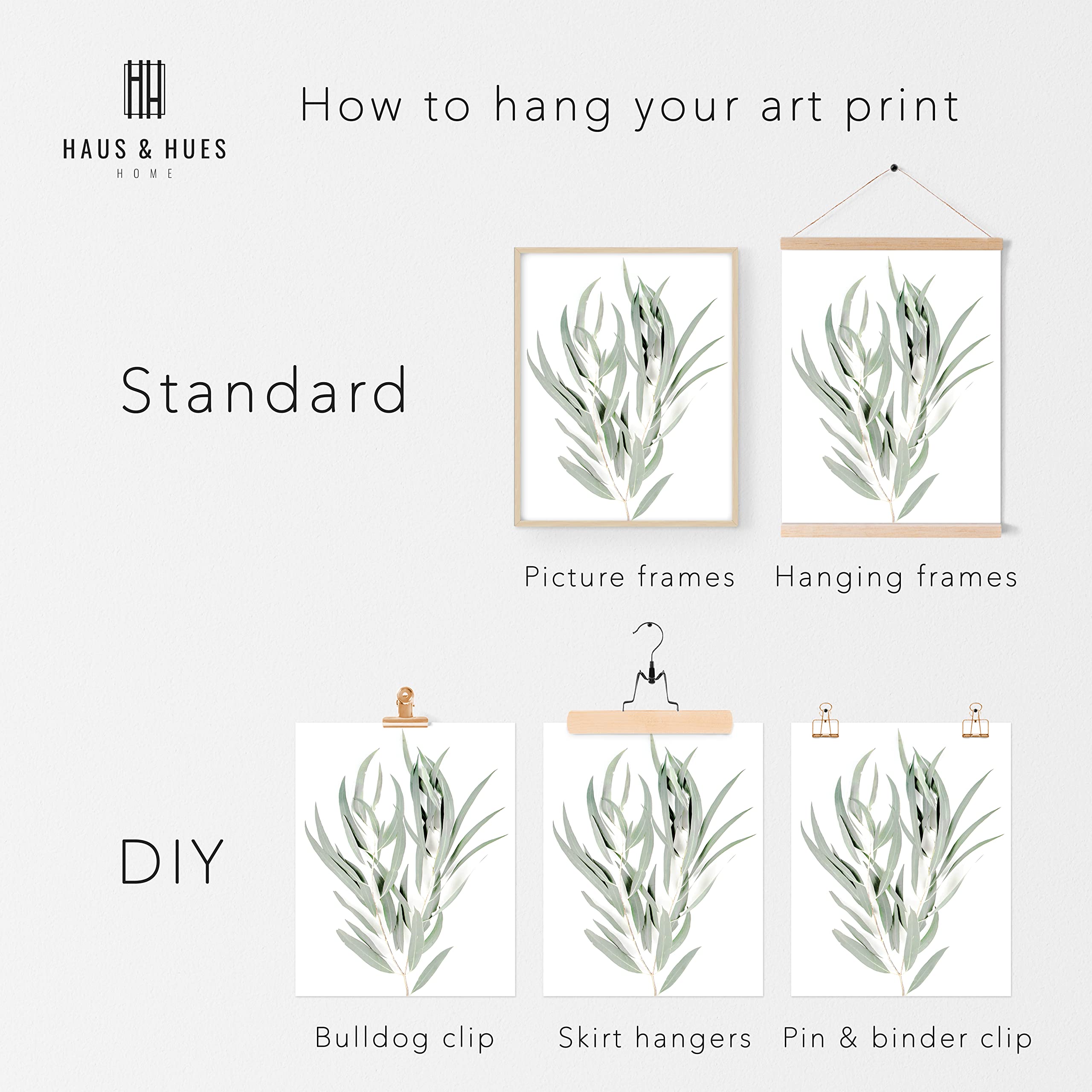 Haus and Hues Botanical Plant Wall Art Prints Set of 4 Plant Wall