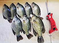 Review Image by Sage Lee Sage Lee