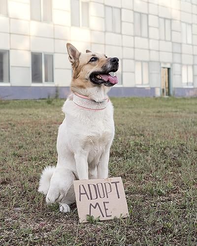 Miniatura 4 de IDOLPET Collar de perro con diamantes de imitación, suave, cómodo y elegante, con rayas reflectantes brillantes, collar de cristal de diamante