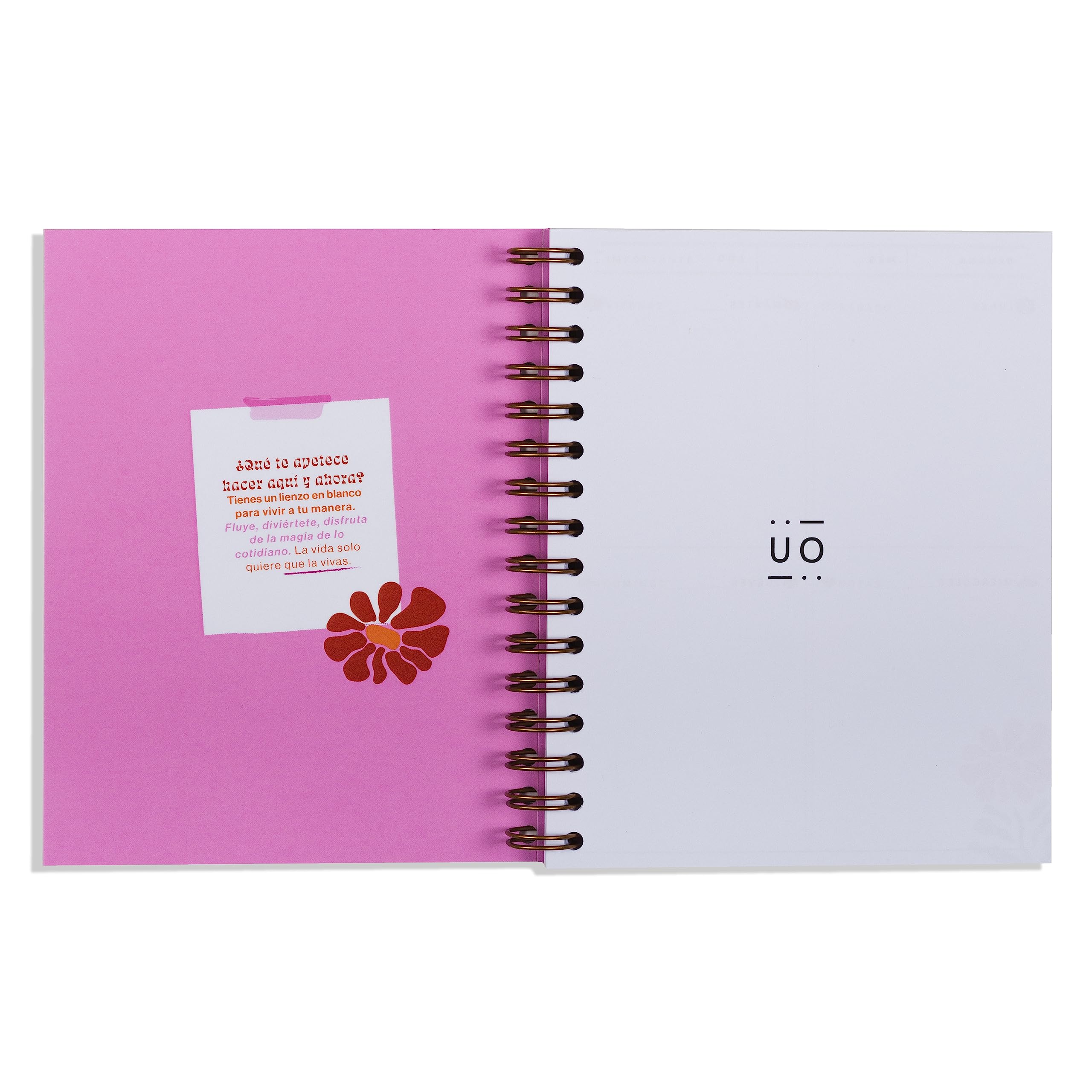Organizador Semanal Mini - Planificador Sin Fechas, Papel 90gr