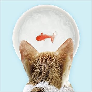 Suck UK Goldfish Dog Or Cat Bowl | Novelty Food & Water Bowl | Cat Food & Dog Food Dish | Ceramic Bowl | Cat Accessories |