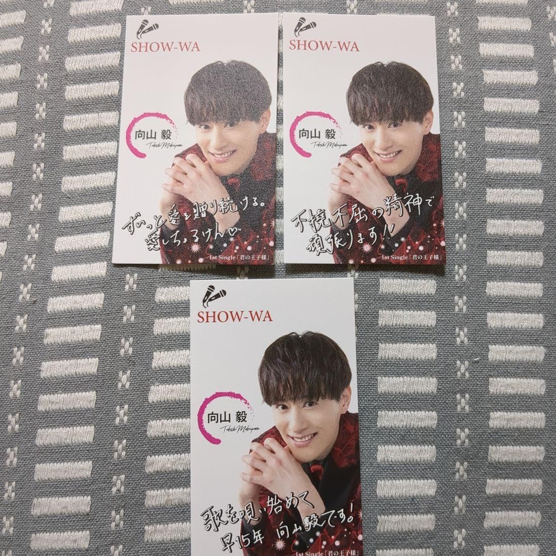 SHOW-WA 向山毅 名刺セット Amazon.co.jp: show-wa 名刺 向山毅 たけちゃん 2枚セット