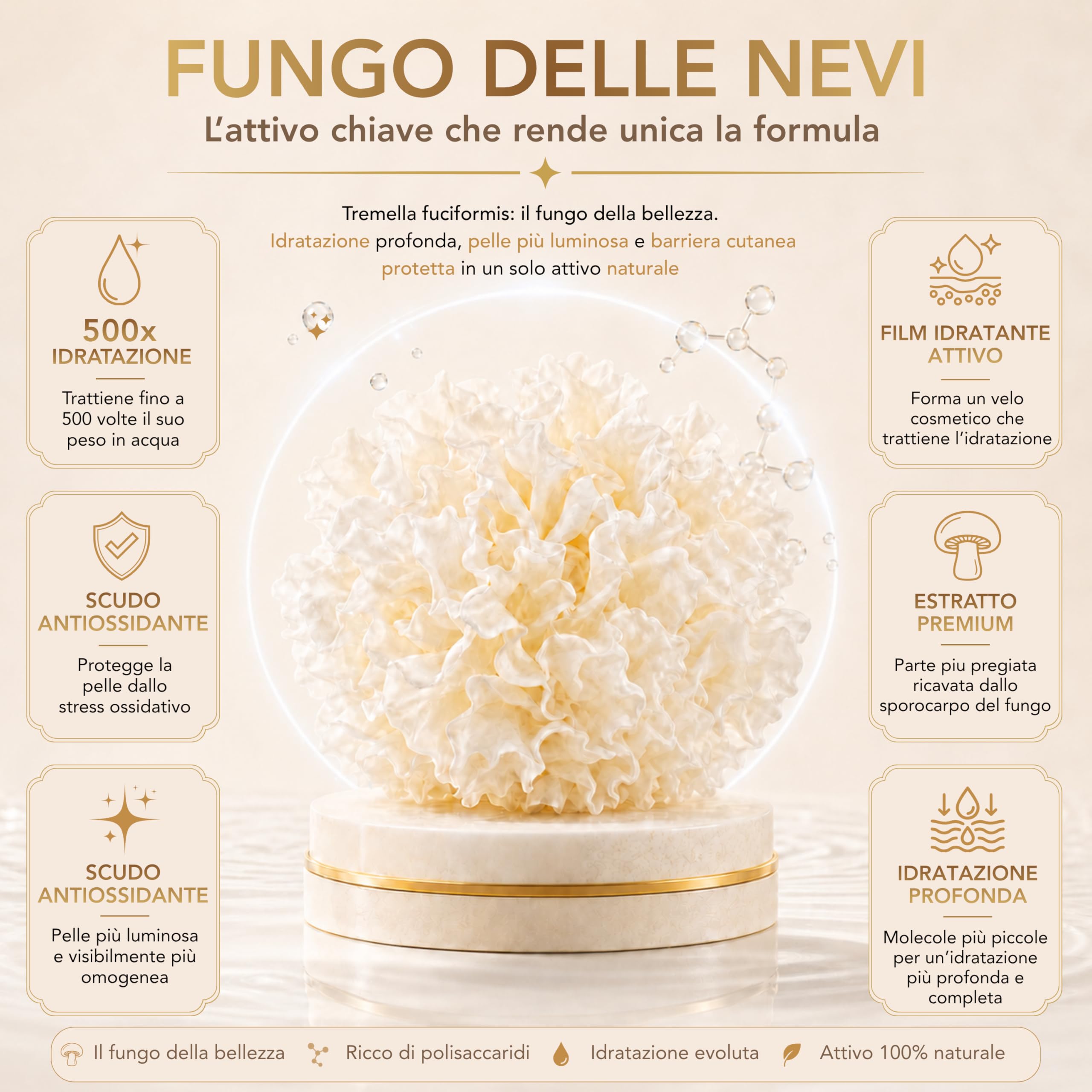 Kit Skincare Viso Naturale Vegan – Siero Viso 50 ml + Crema Viso 50 ml con Fungo delle Nevi, Niacinamide, Peptidi, Bakuchiol, Centella Asiatica, Vitamina C, Aloe, Q10 – Made in Italy