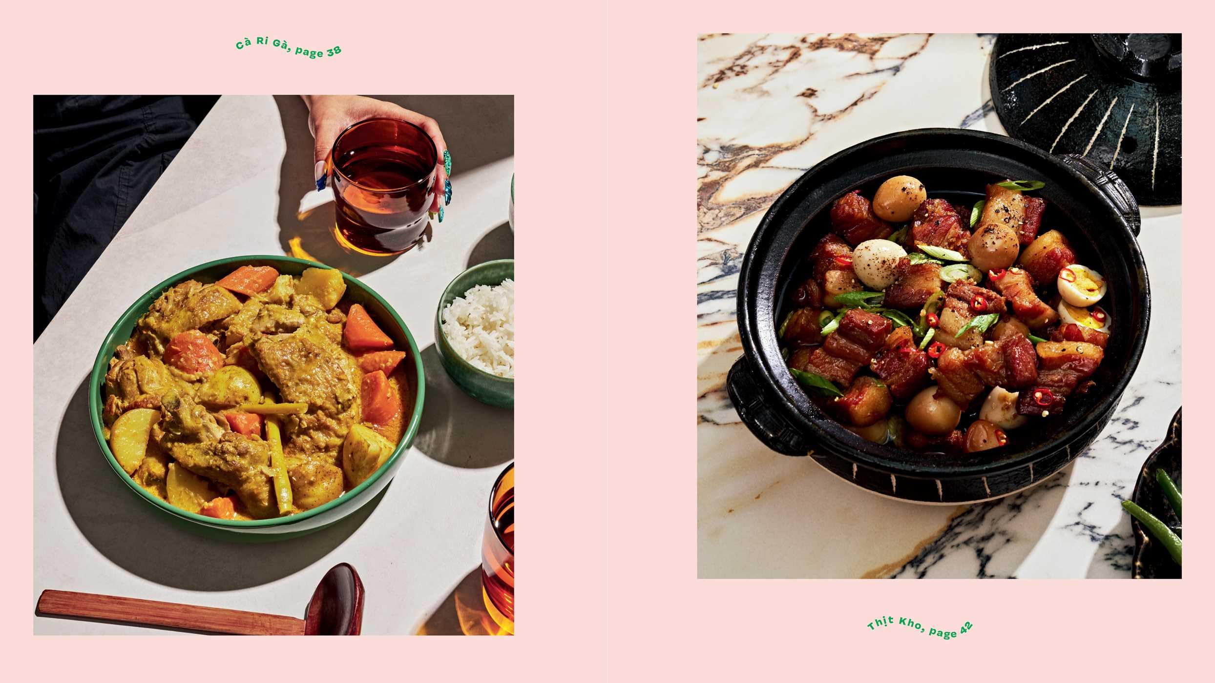 Di an: The Salty, Sour, Sweet and Spicy Flavors of Vietnamese Cooking with Twaydabae (a Cookbook)