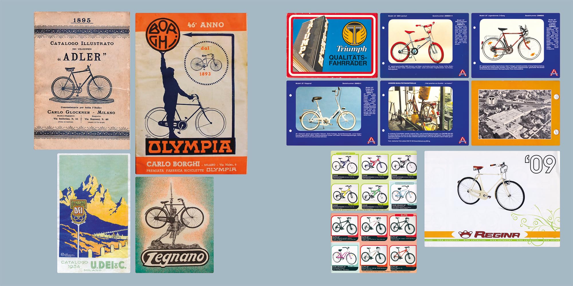 Biciclette del mondo. Tutti i marchi dalla A alla Z, dal velocipede al telaio in titanio