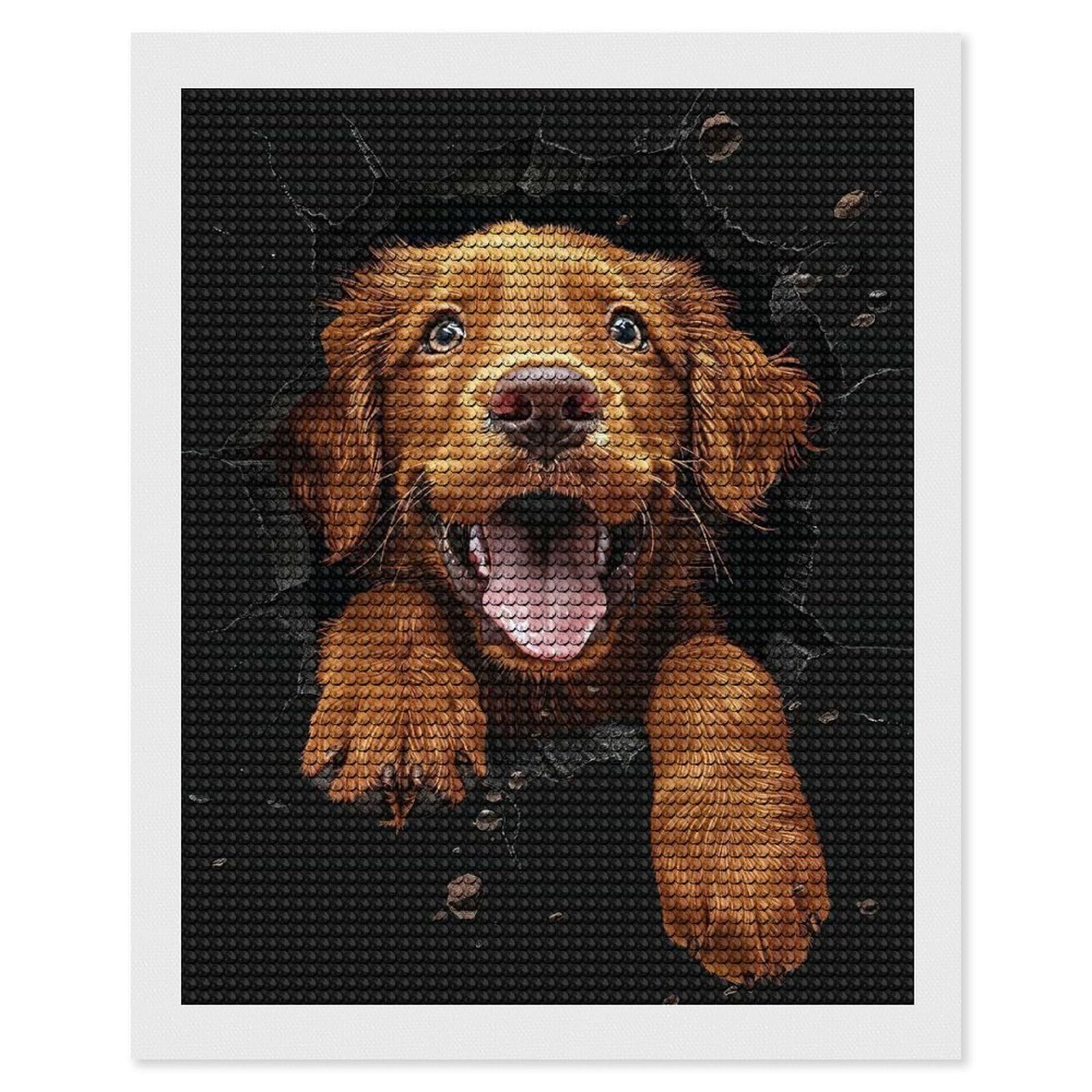 Junmoney Chesapeake Bay Retriever Diamond Art Kit 16"x20", Creative Leisure Activity, Complete Accessories, Vintage Style Decor, for Women